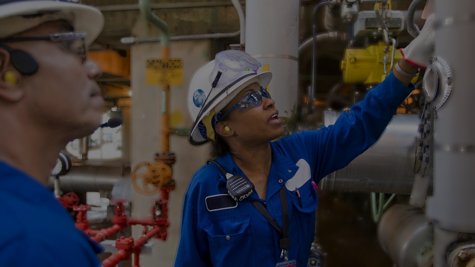 We are the best procument experts